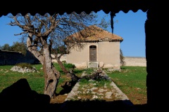 Gisanella-da-inserire